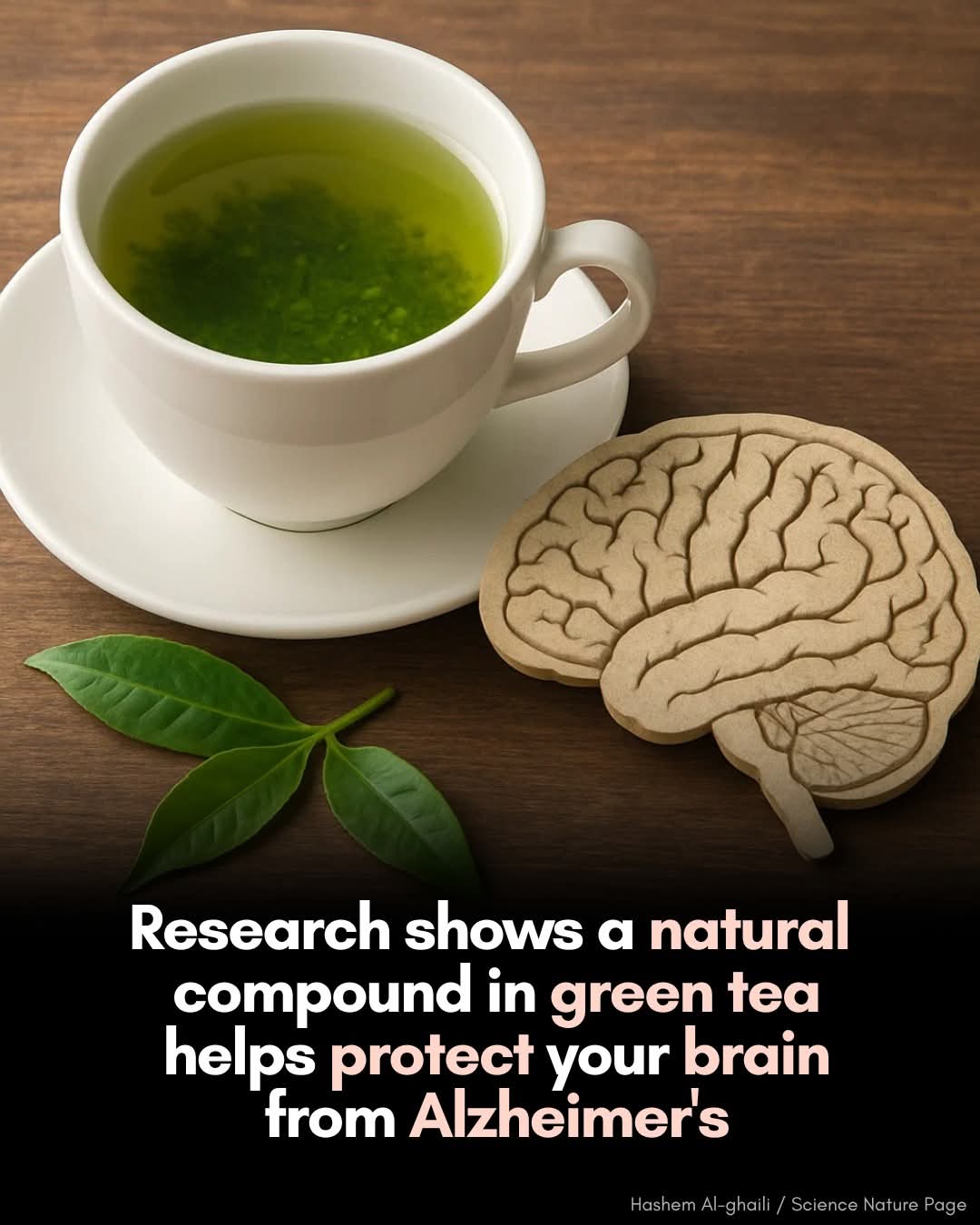 Green tea helps protect brain from Alzheimer